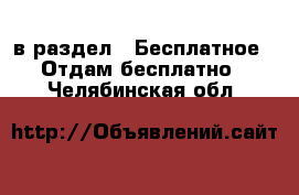  в раздел : Бесплатное » Отдам бесплатно . Челябинская обл.